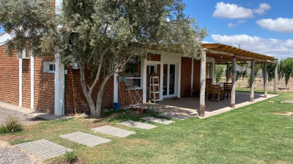 WhatsApp Image 2025-08-29 at 11.53.13.jpeg